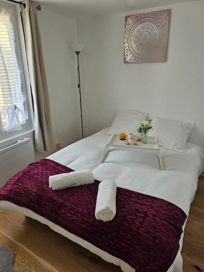Chez Angela Appartement Avec Terrasse Bbq Et Jacuzzi Fresnes-Sur-Marne Kültér fotó